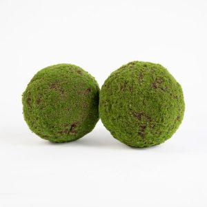 mossballs download free mossballs download free